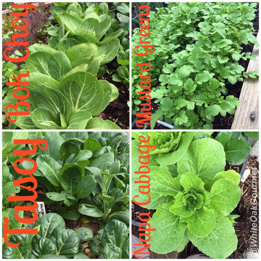 Fight inflammation with Leafy Greens
