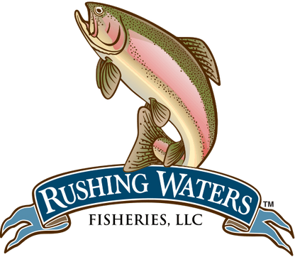 Chipotle Salmon Burger