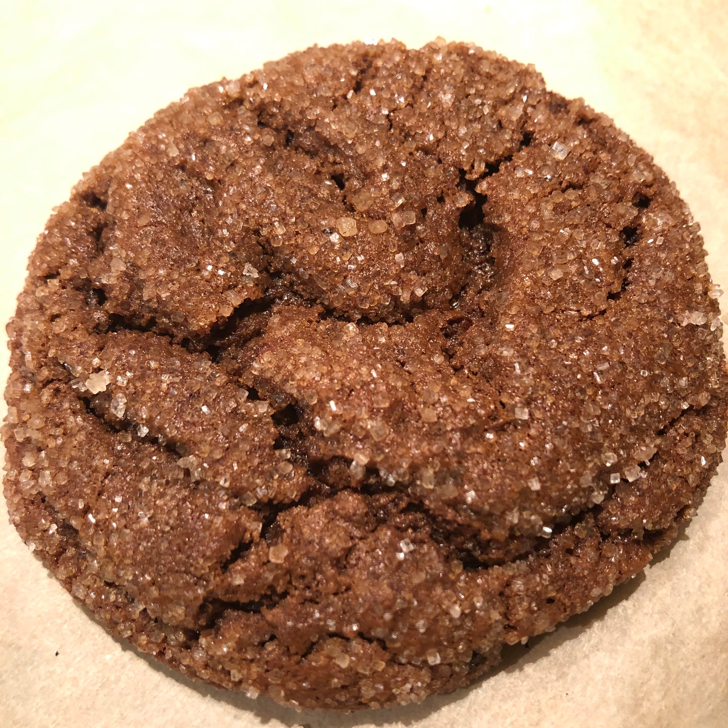 Molasses Spice Cookie